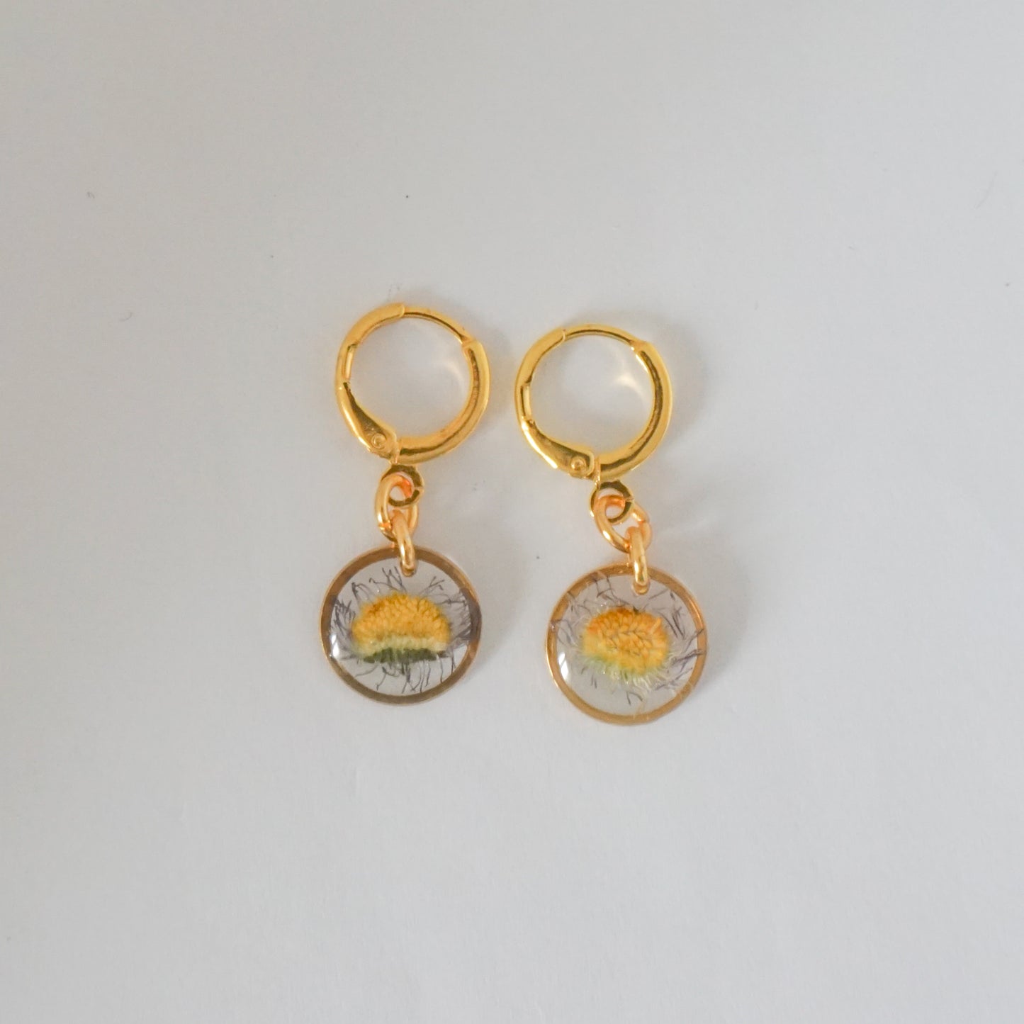 Aretes margarita común