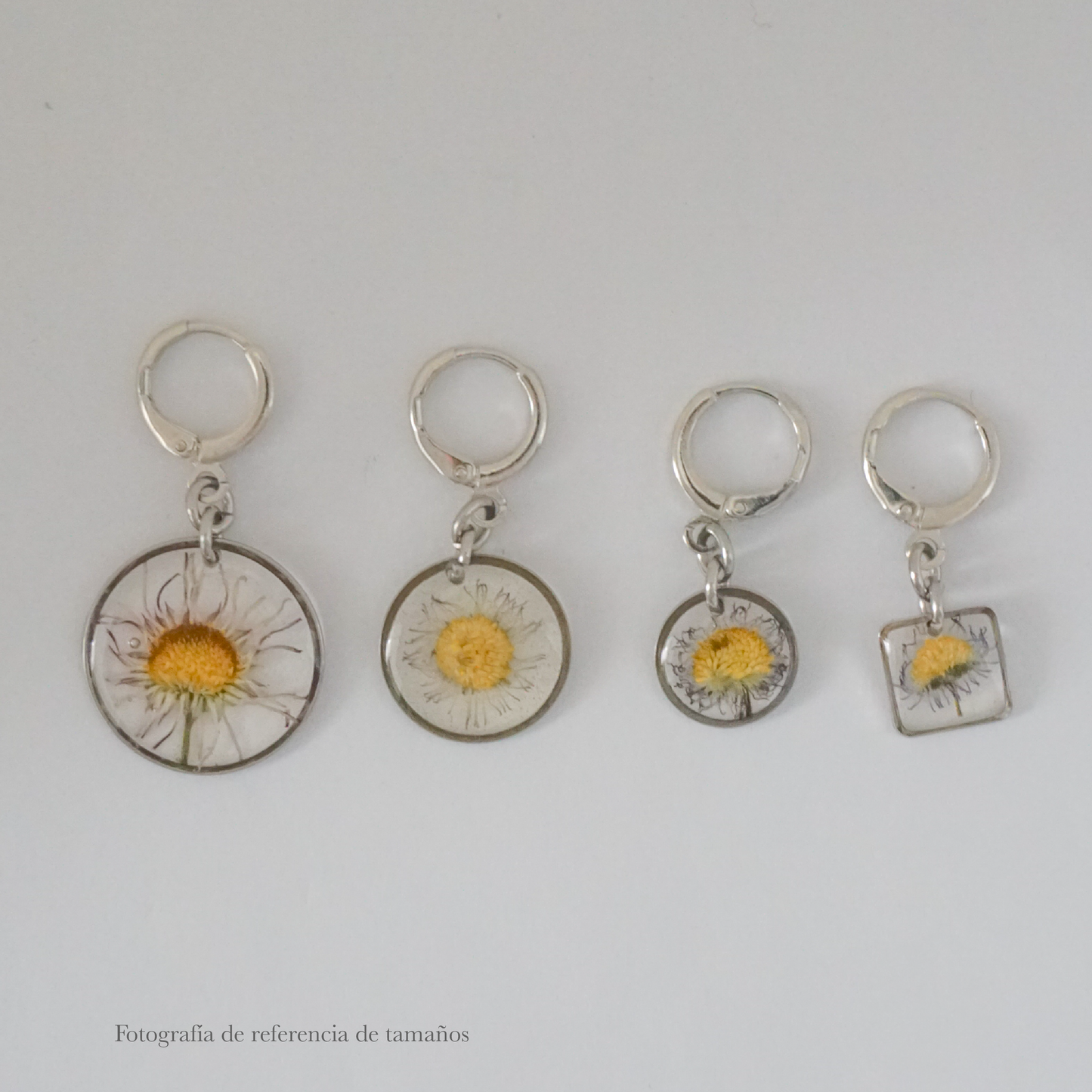 Aretes margarita común