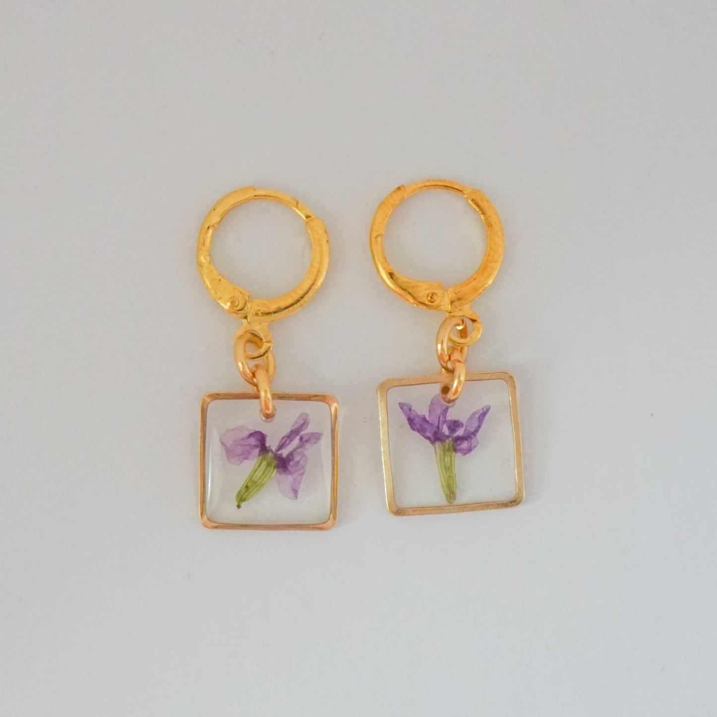 Aretes trueno de venus