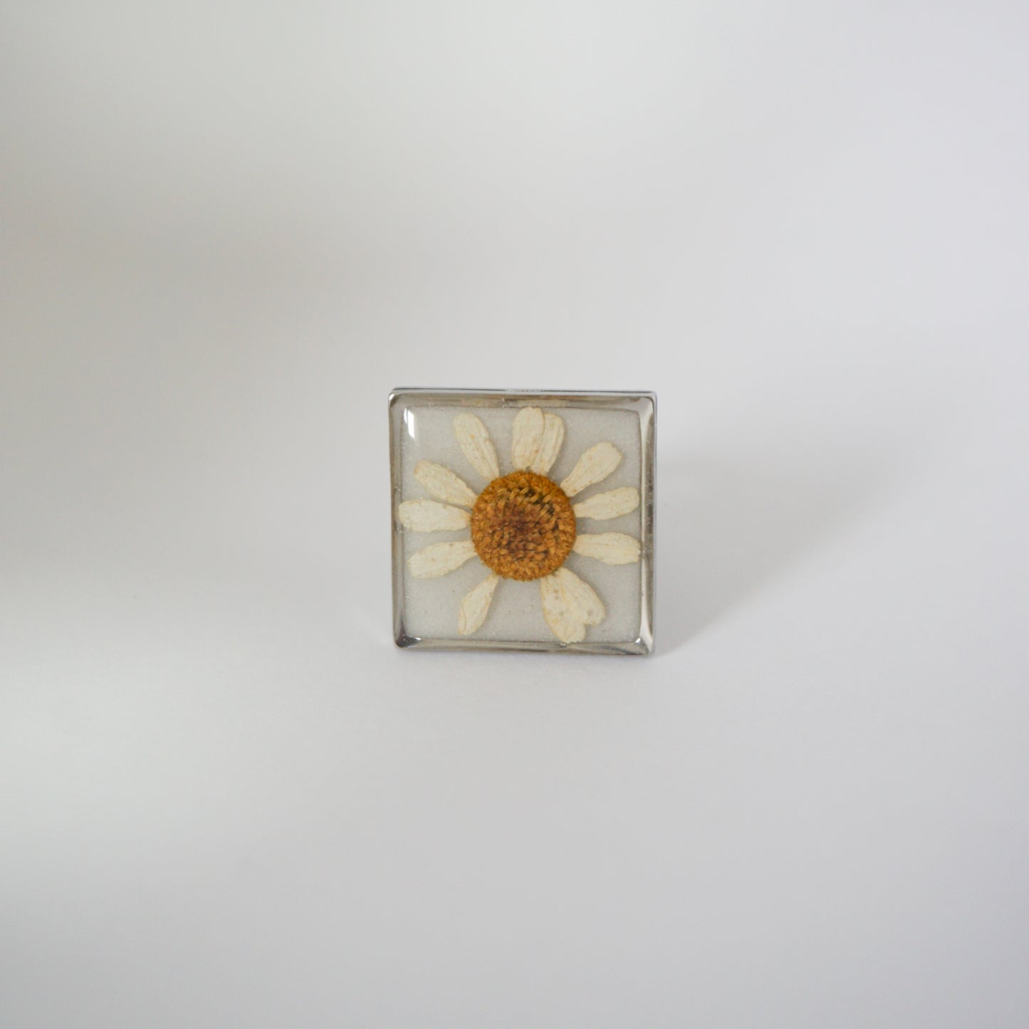 Anillo ajustable Hierba de Santa María fondo blanco