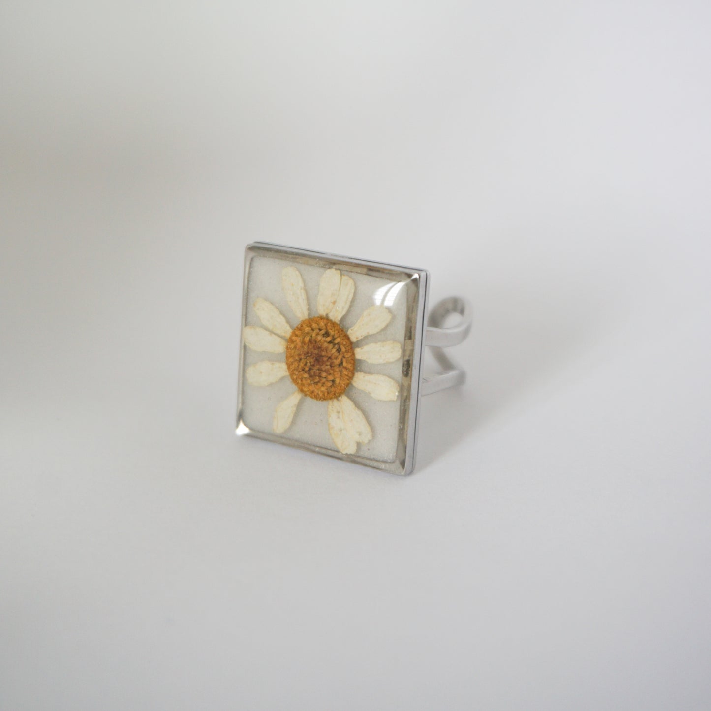 Anillo ajustable Hierba de Santa María fondo blanco