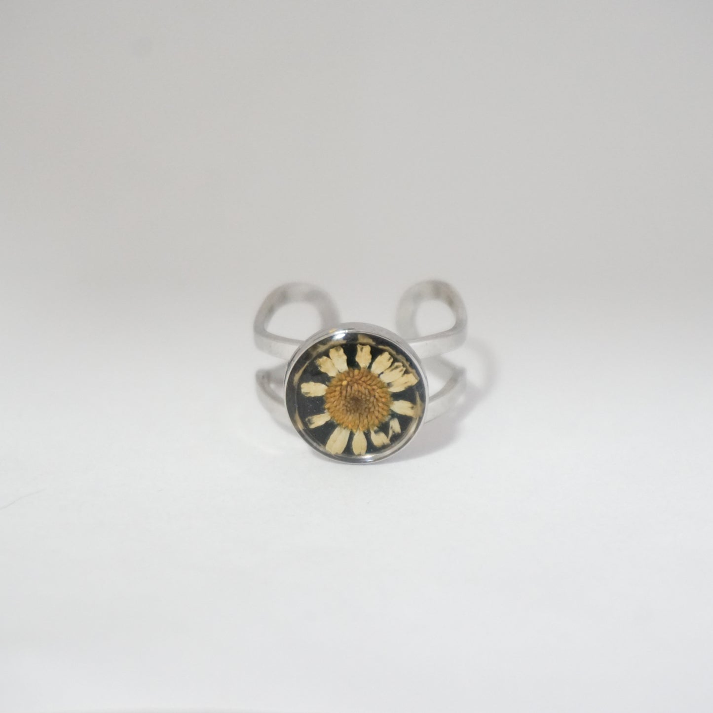 Anillo ajustable hierba de Santa María fondo negro