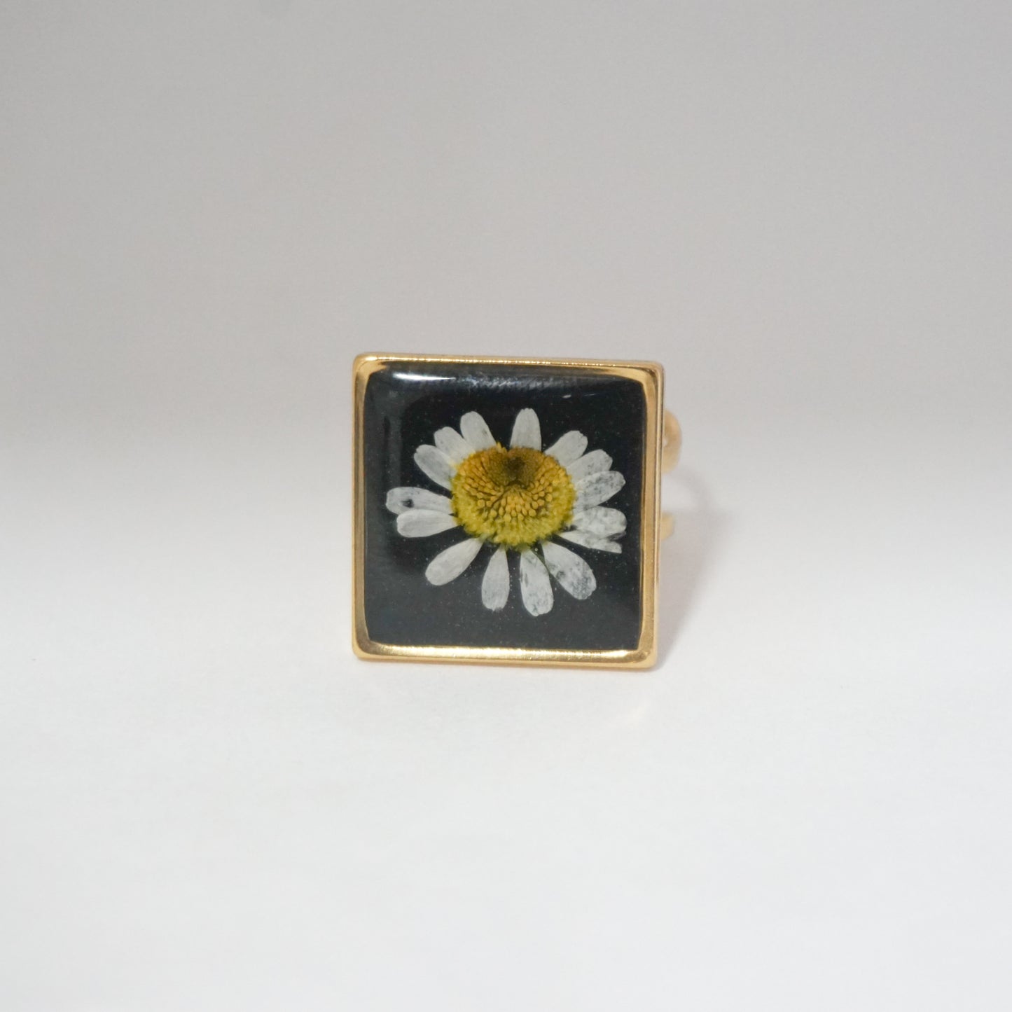 Anillo ajustable hierba de Santa María fondo negro