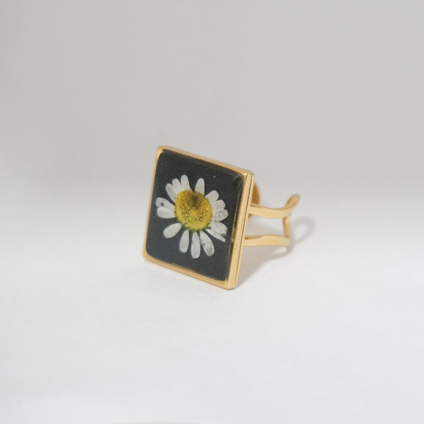 Anillo ajustable hierba de Santa María fondo negro