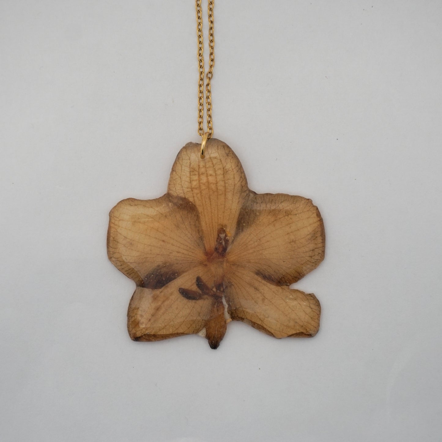Dije orquídea phalaenopsis