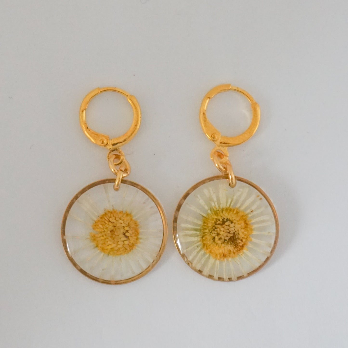 Aretes margarita común