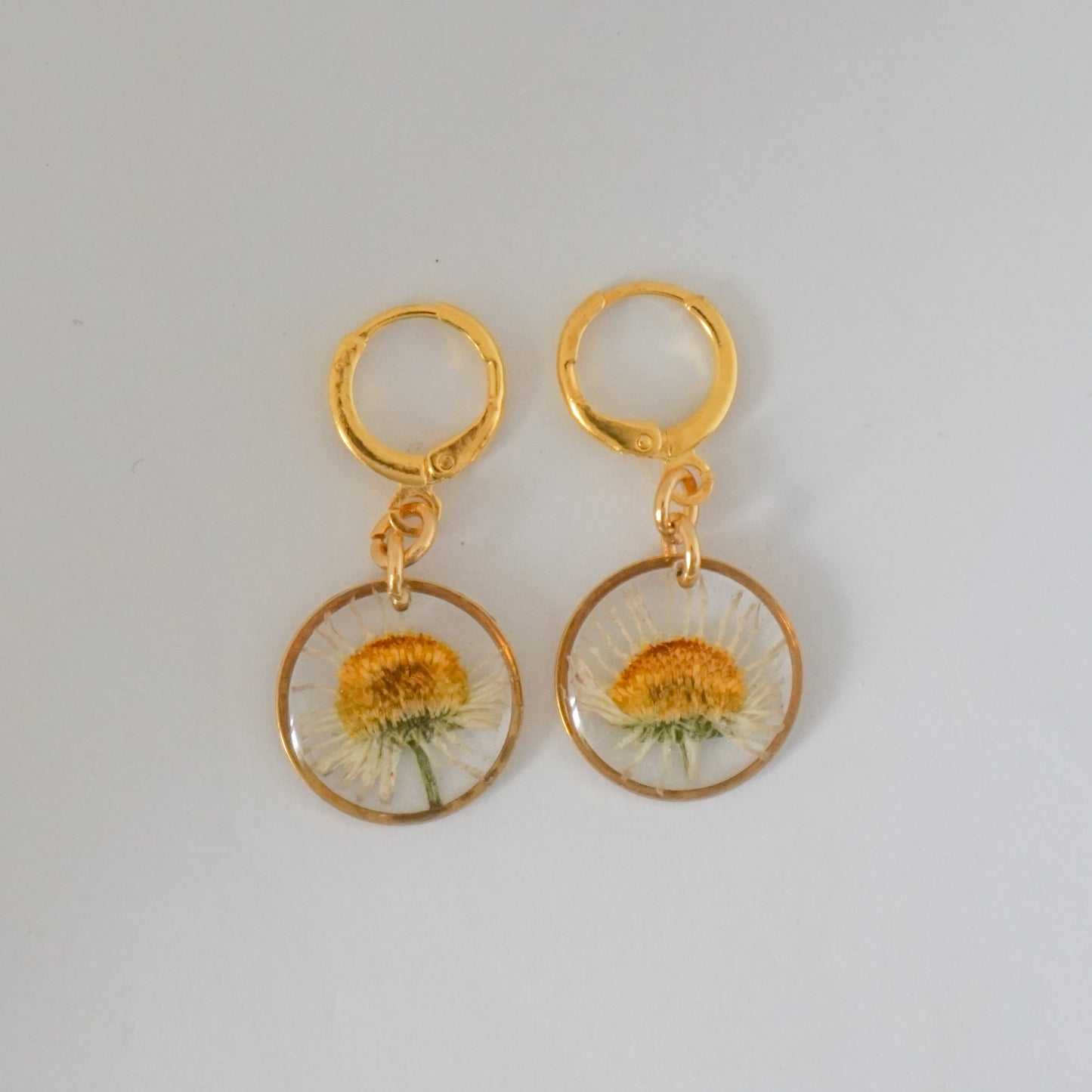 Aretes margarita común