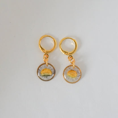 Aretes margarita común