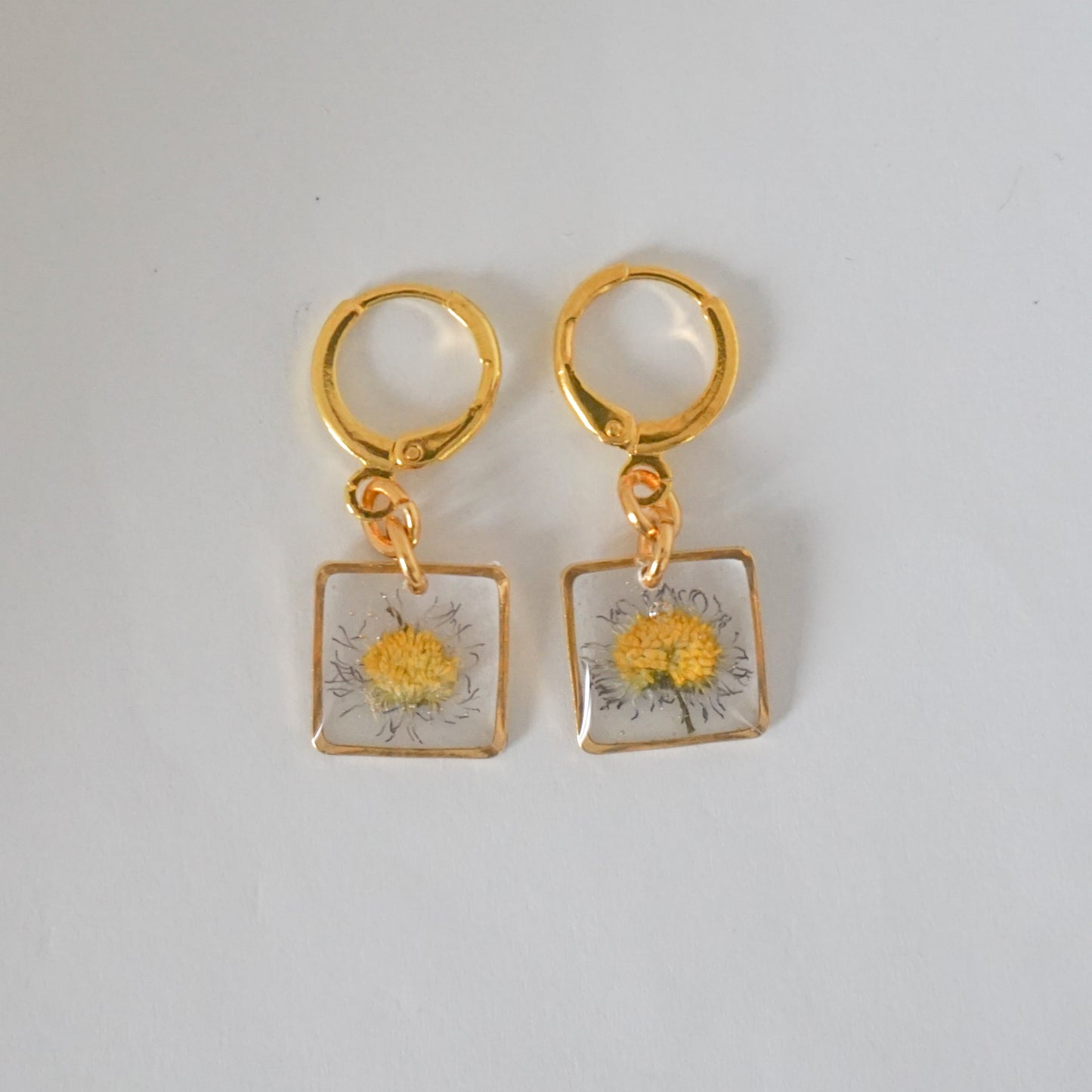 Aretes margarita común