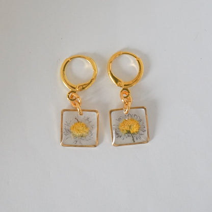 Aretes margarita común
