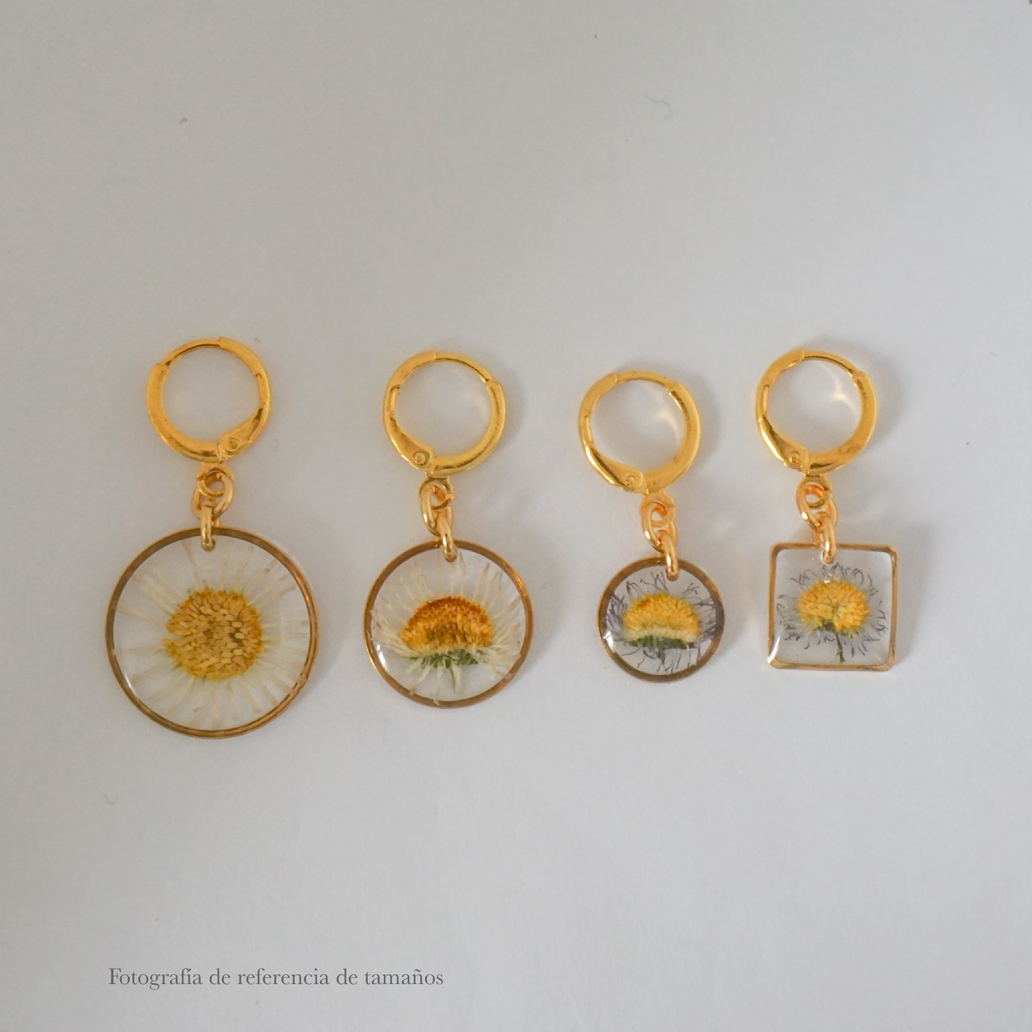 Aretes margarita común