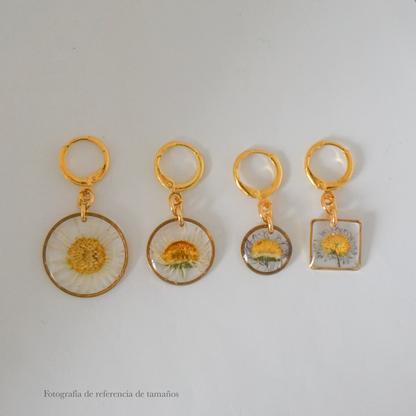 Aretes margarita común