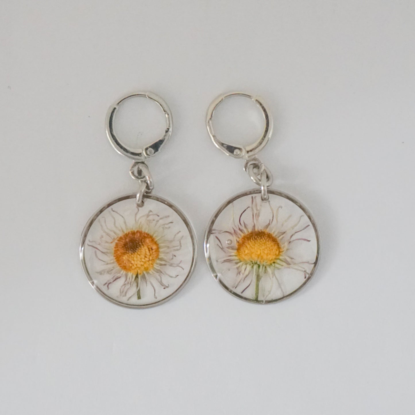 Aretes margarita común