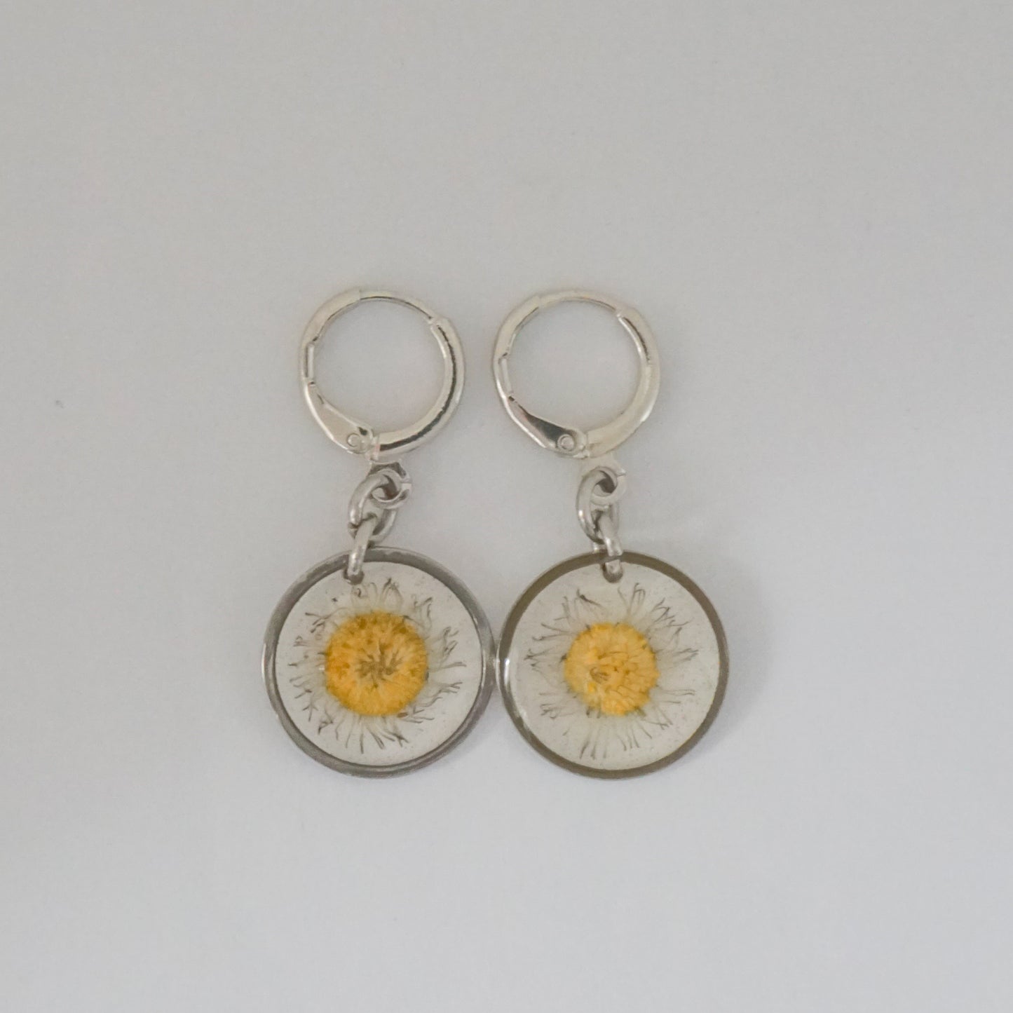 Aretes margarita común