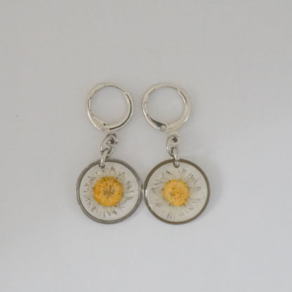 Aretes margarita común