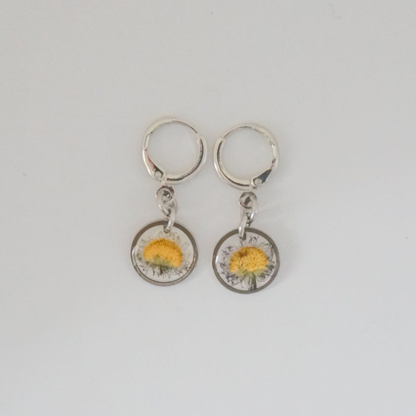 Aretes margarita común