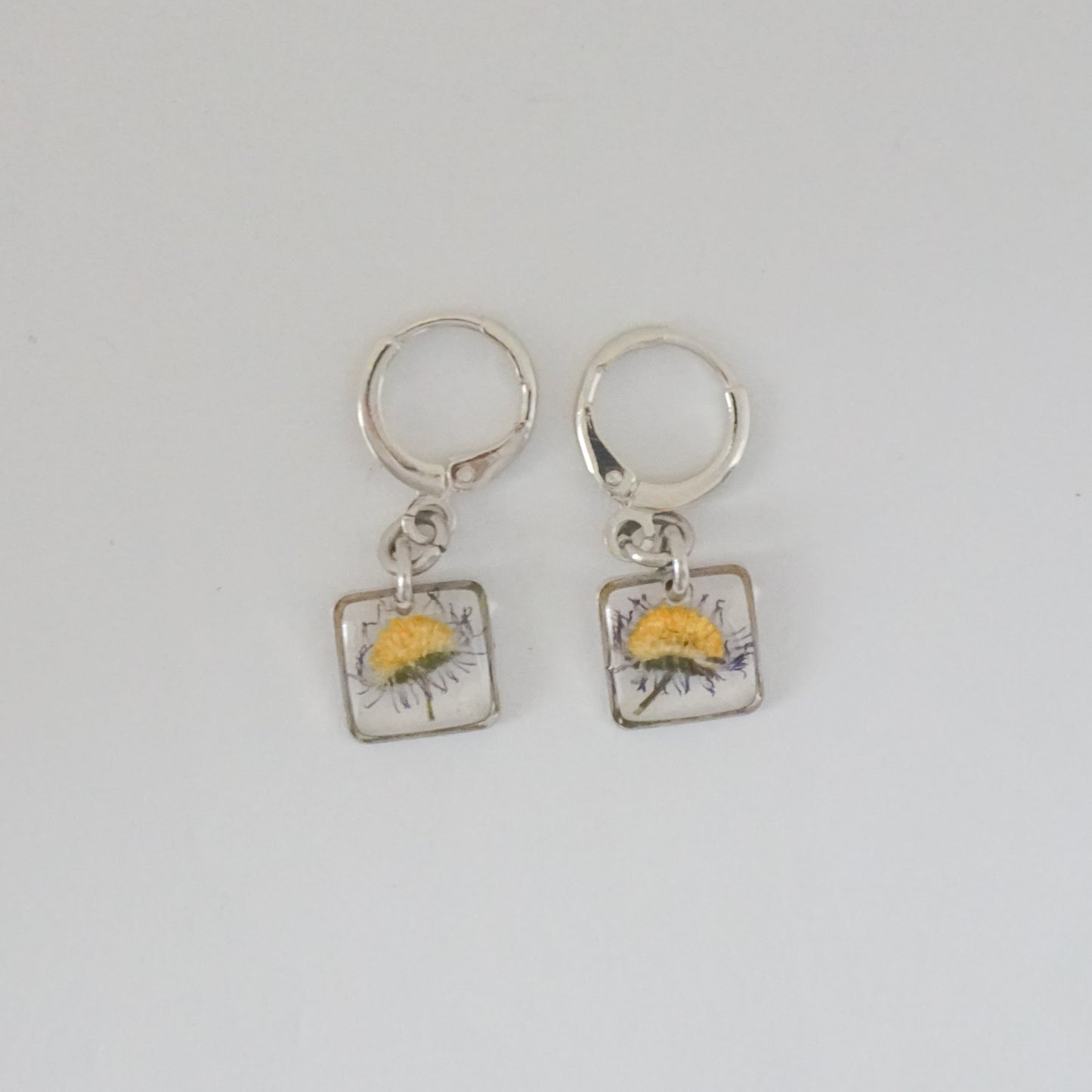 Aretes margarita común