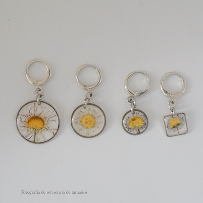 Aretes margarita común