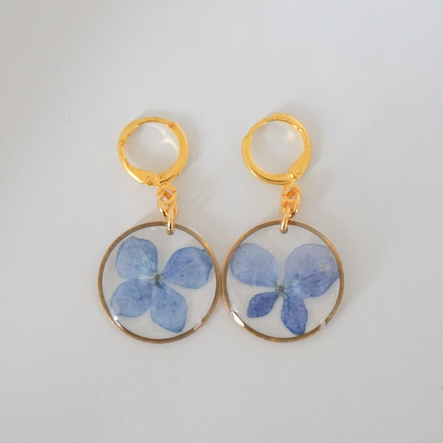 Aretes hortensia