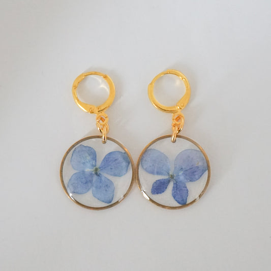 Aretes hortensia