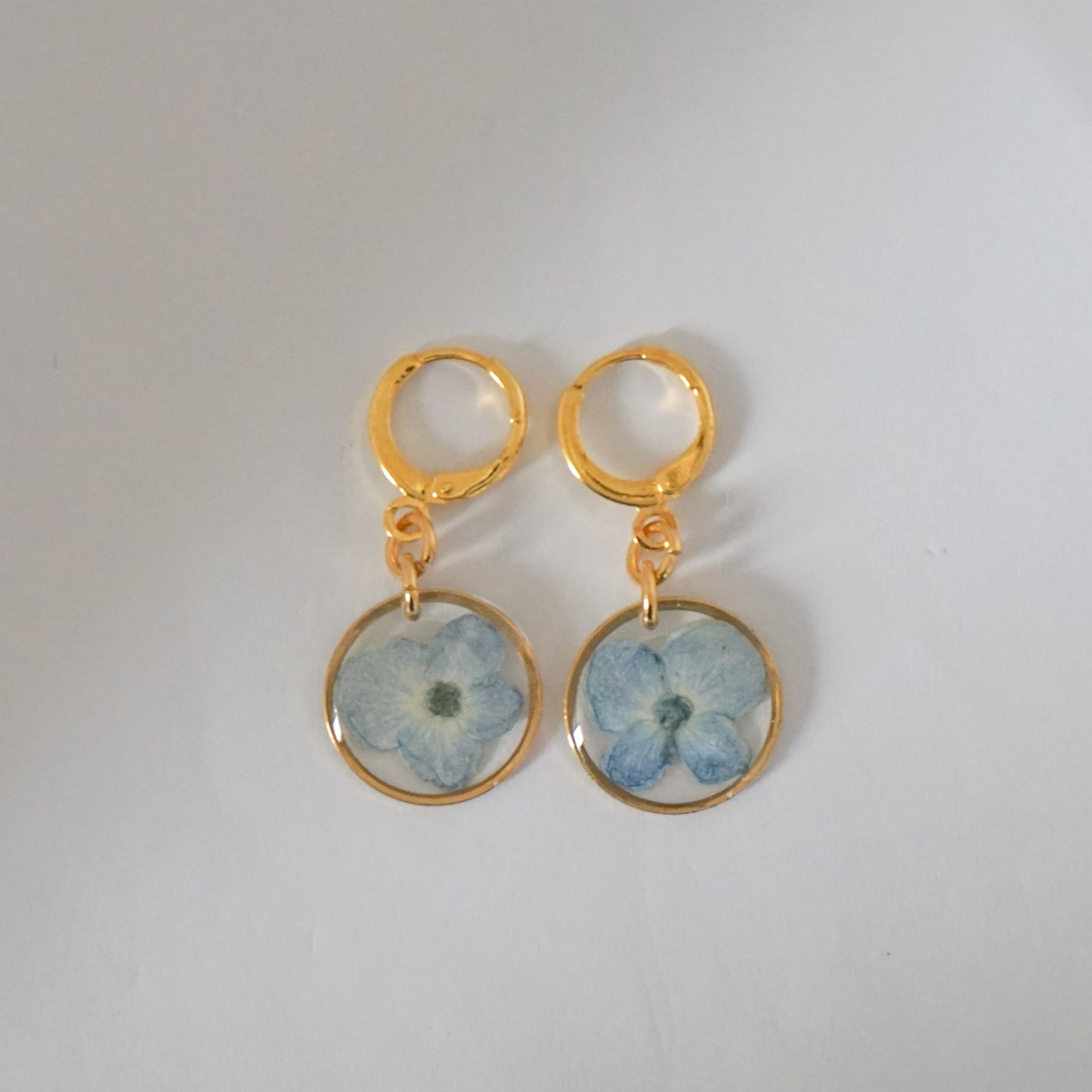 Aretes hortensia