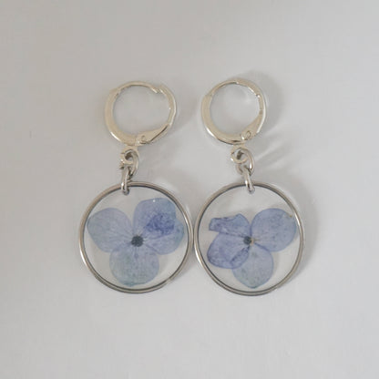 Aretes hortensia