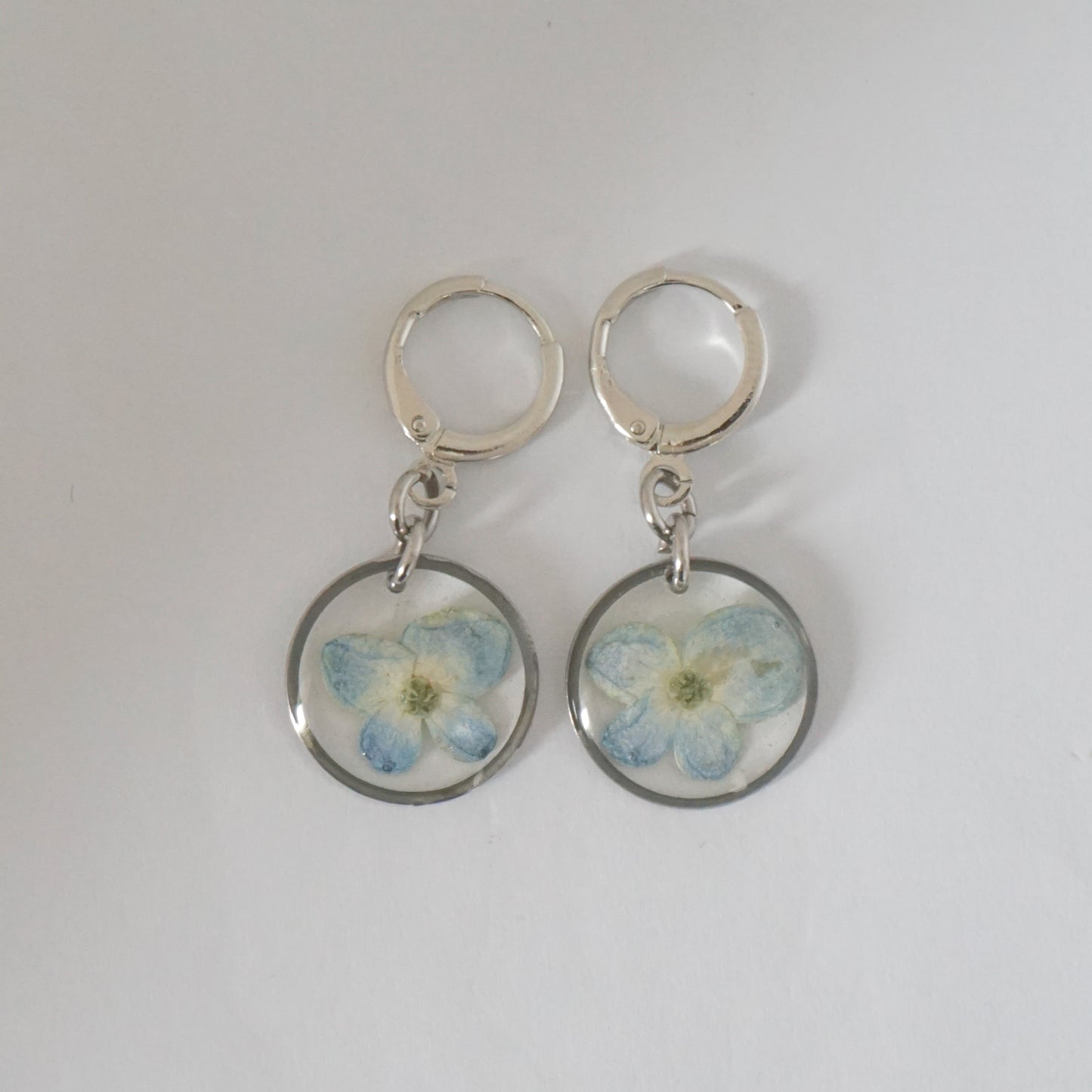 Aretes hortensia