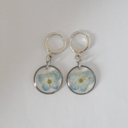 Aretes hortensia