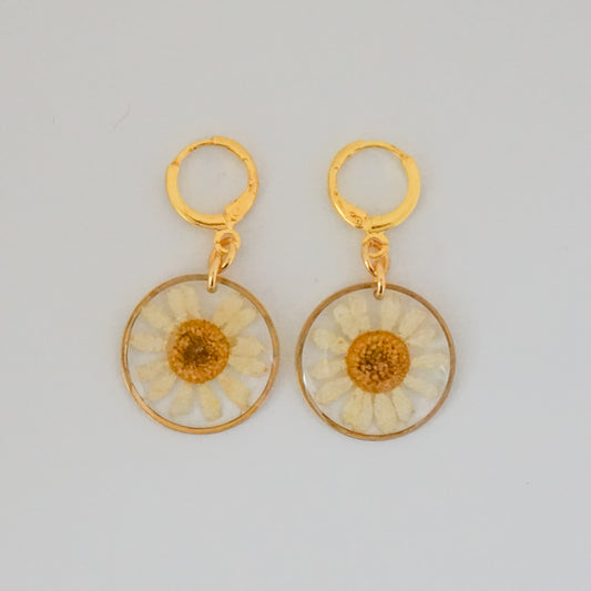 Aretes hierba Santa María