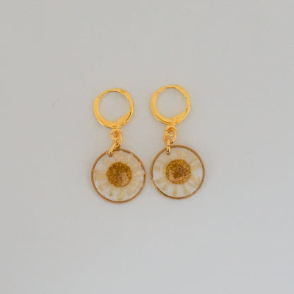 Aretes hierba Santa María