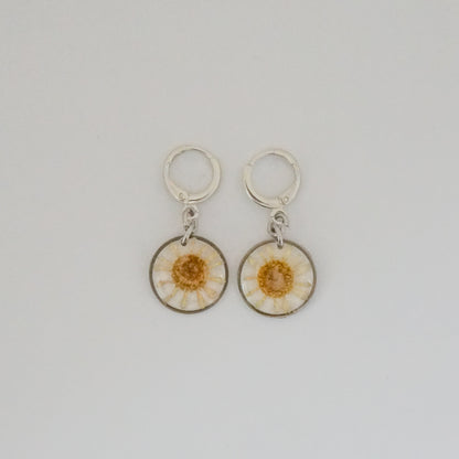 Aretes hierba Santa María