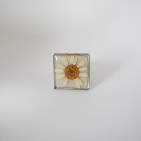 Anillo ajustable Hierba de Santa María fondo blanco