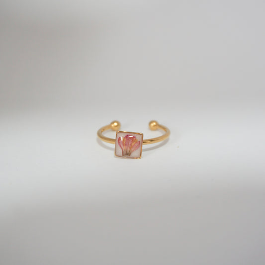 Anillo ajustable bugambilia fondo blanco