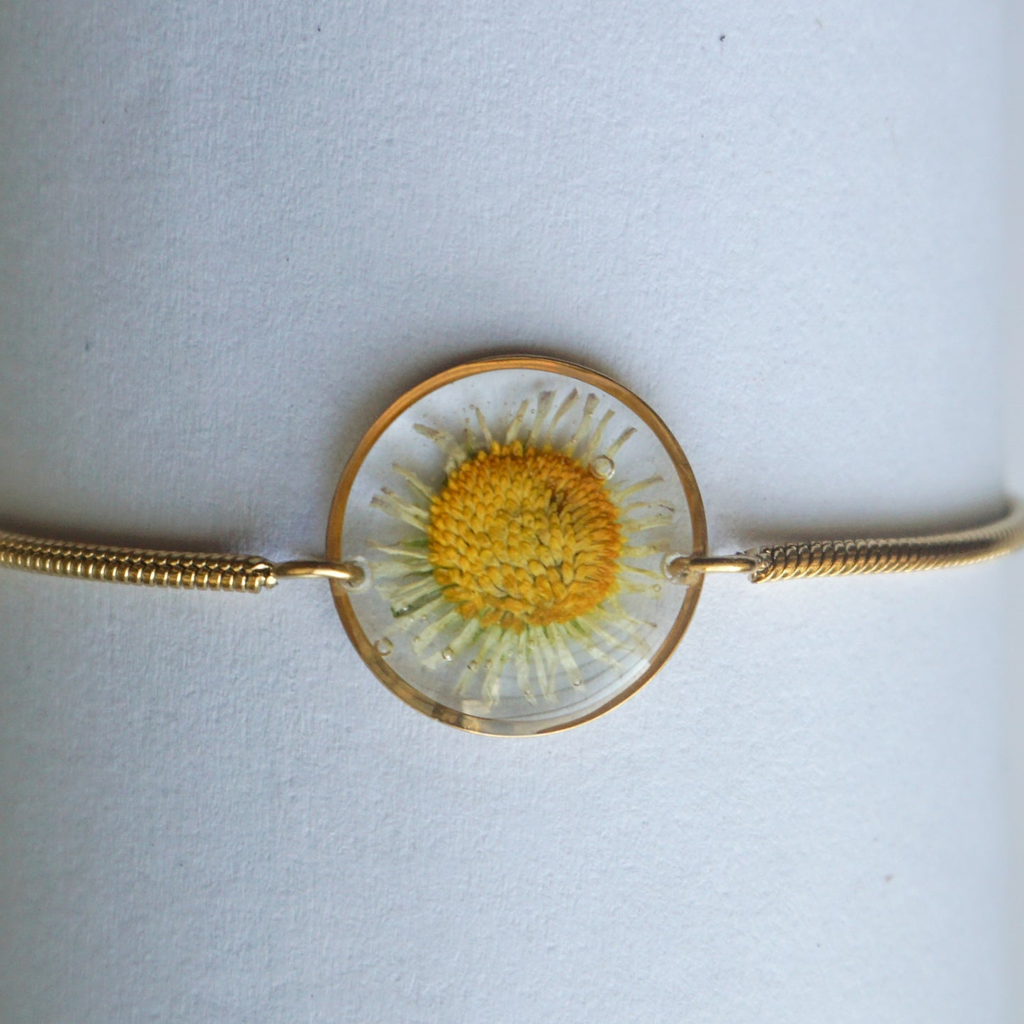 Pulsera margarita común