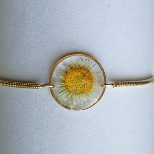Pulsera margarita común