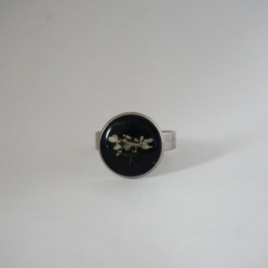 Anillo ajustable flor del cilantro fondo negro