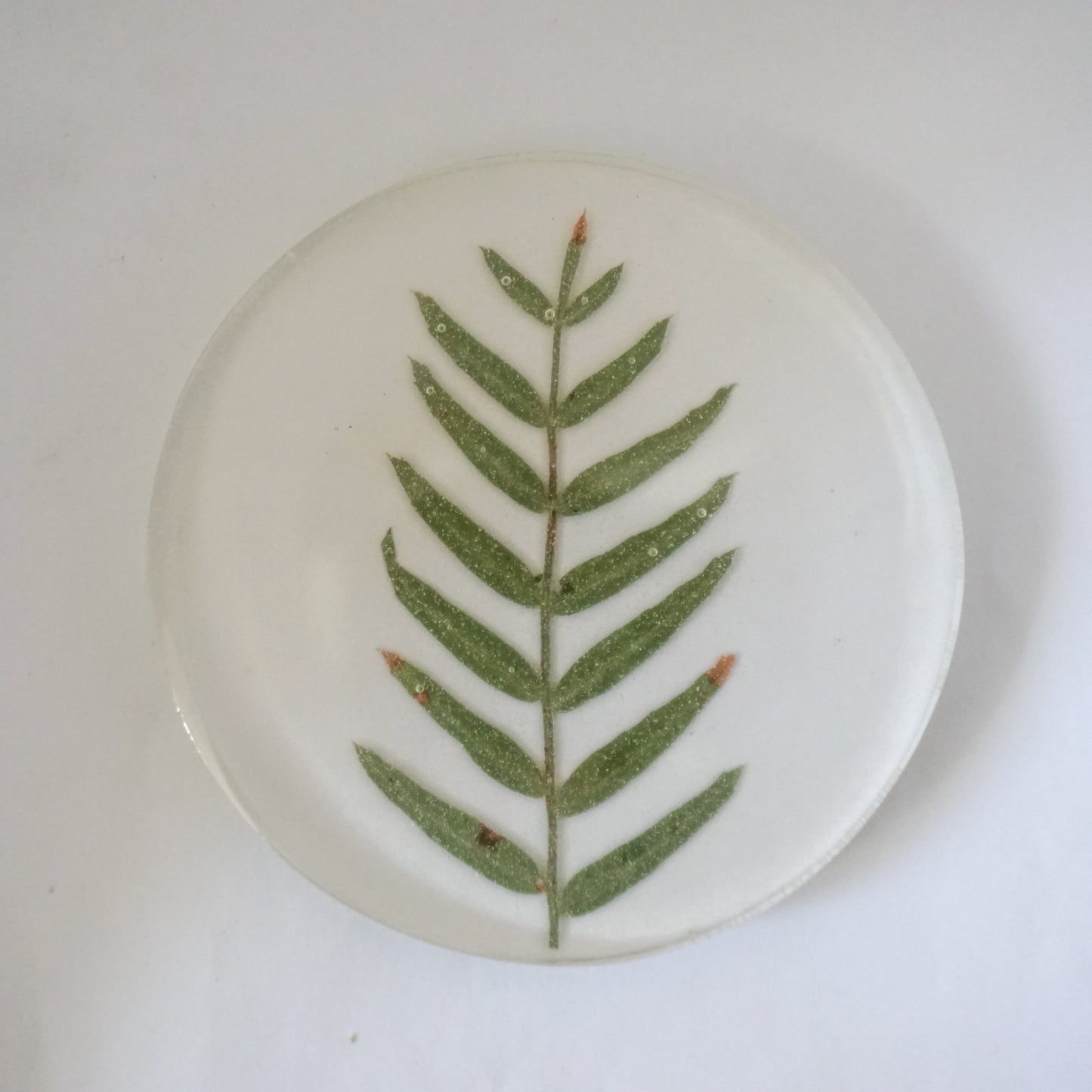 Portavaso pirul