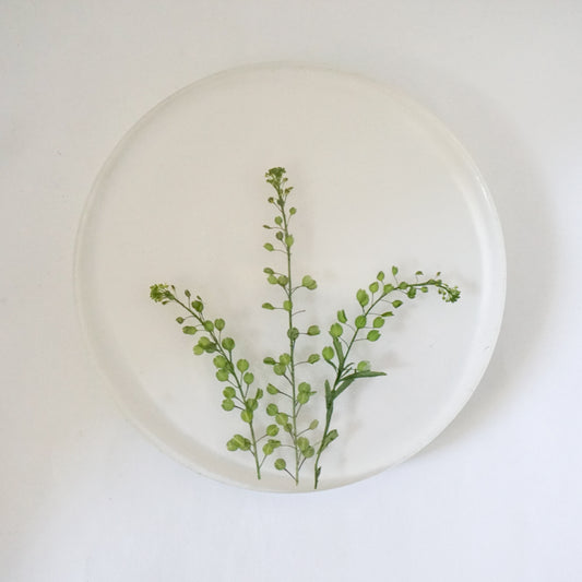 Portavaso lentejilla