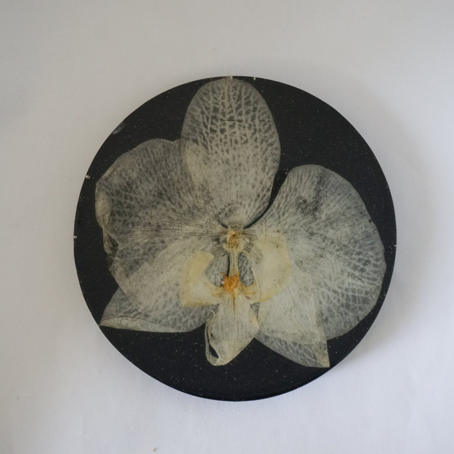 Portavaso orquídea