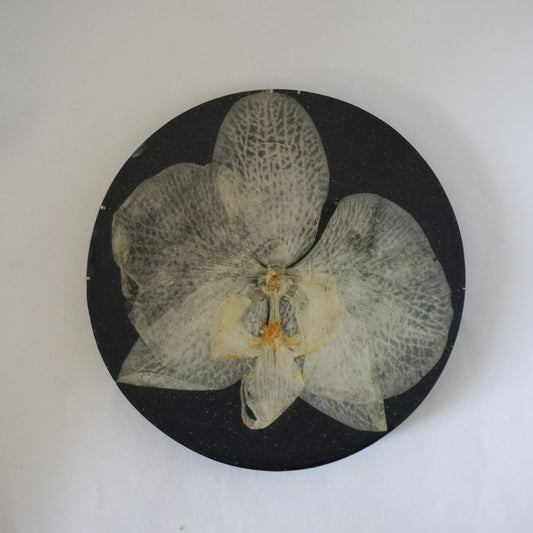 Portavaso orquídea