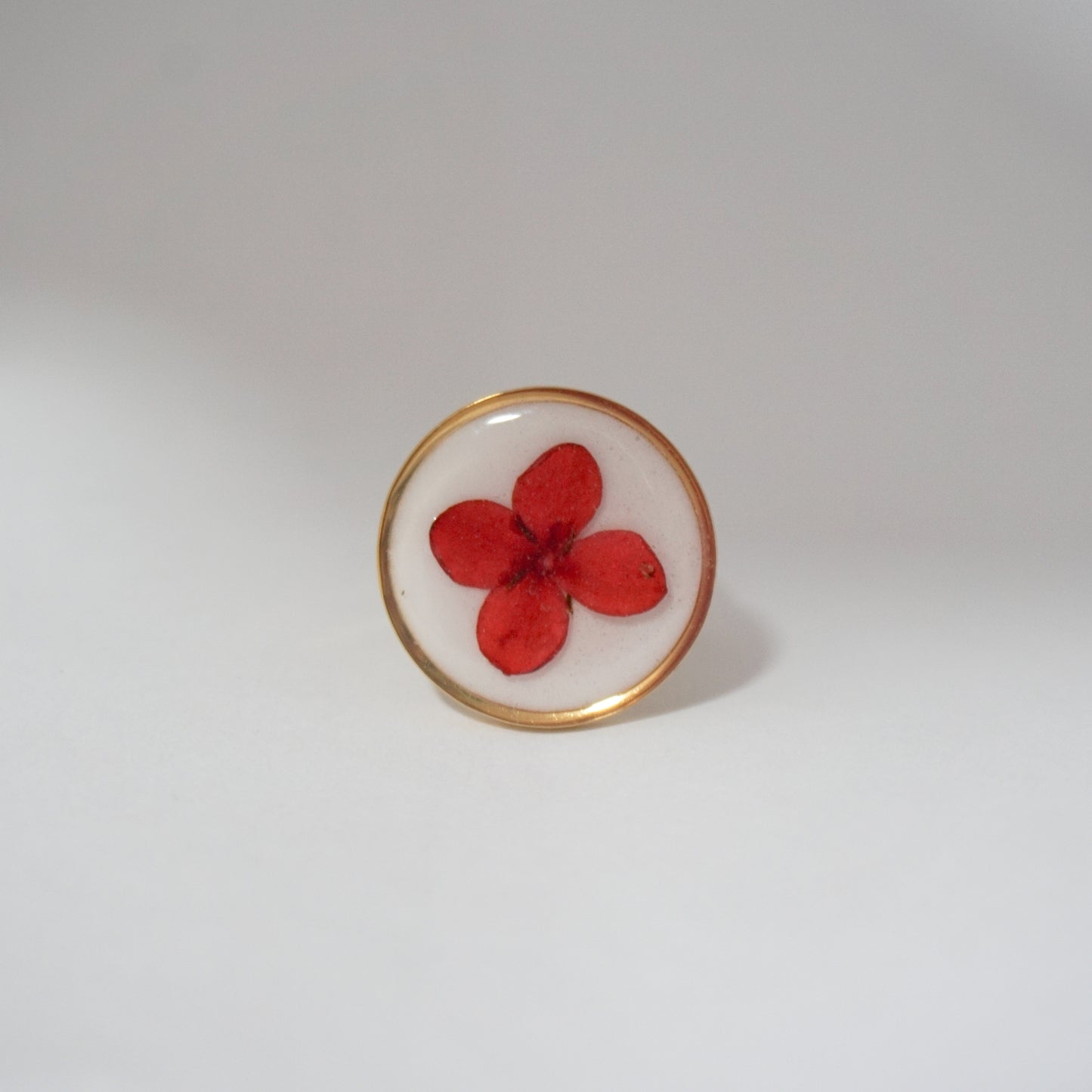 Anillo ajustable ixora fondo blanco