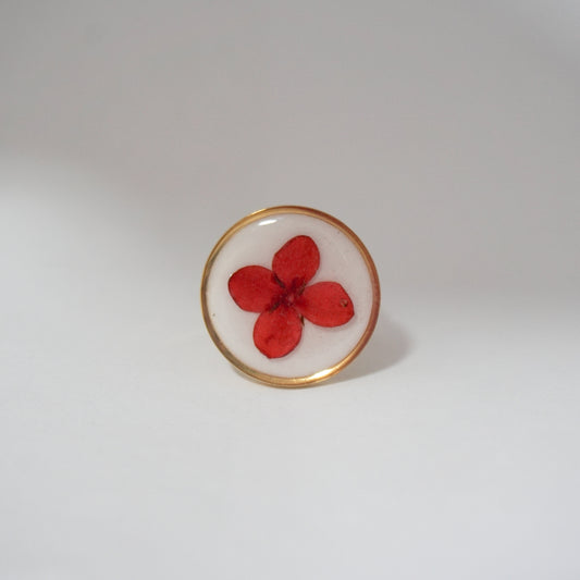 Anillo ajustable ixora fondo blanco