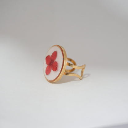 Anillo ajustable ixora fondo blanco