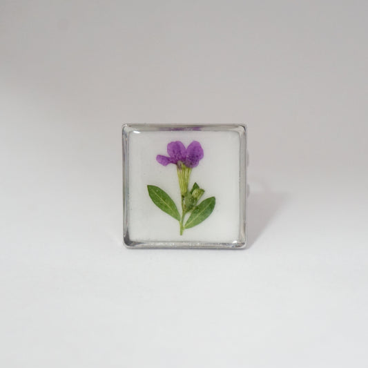Anillo ajustable trueno de venus fondo blanco