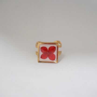 Anillo ajustable ixora fondo blanco
