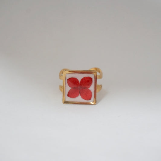 Anillo ajustable ixora fondo blanco