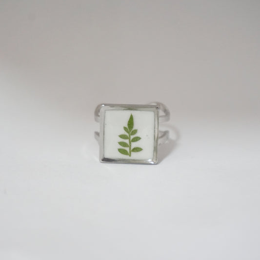 Anillo ajustable jacaranda fondo blanco