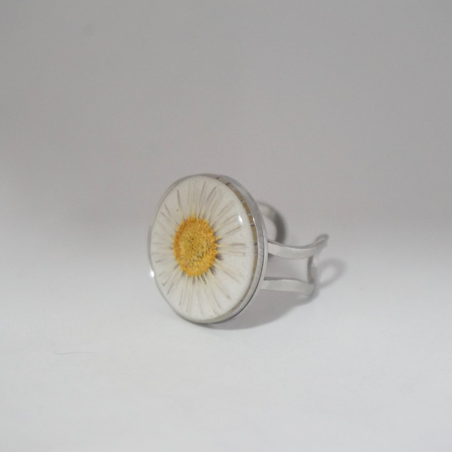 Anillo ajustable margarita fondo blanco