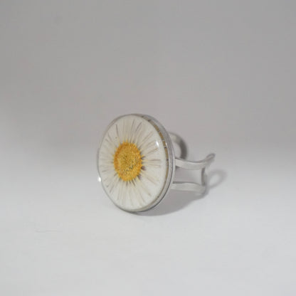 Anillo ajustable margarita fondo blanco