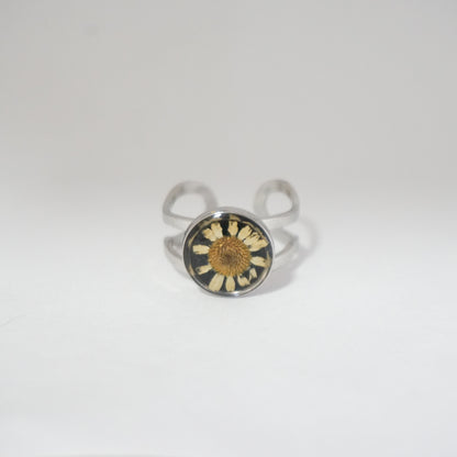 Anillo ajustable hierba de Santa María fondo negro